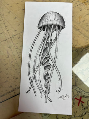 Jellyfish by Marco Escalante