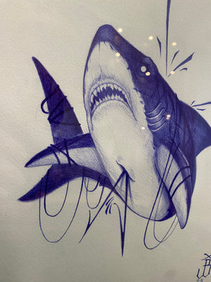 Shark Sketch by Jesse Benson